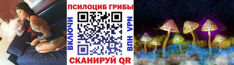 Галлюциногенные грибы Magic Shrooms  мориарти телеграм  Новая Ладога 