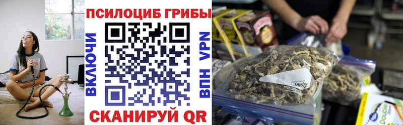 Галлюциногенные грибы Psilocybine cubensis Новая Ладога