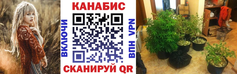 Каннабис SATIVA & INDICA  kraken ссылки  Новая Ладога 